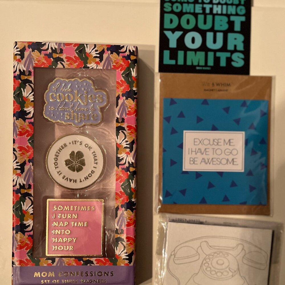 Magnets - Sarcastic & Inspirational (Mom Confessions / new) (by Paper Source)